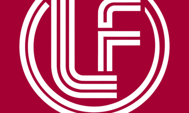 Government, enterprise and bank collaboration｜LF Work helps LG Group build digital India